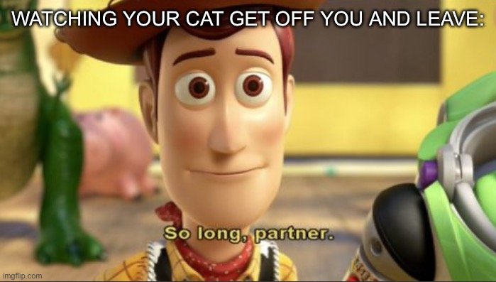 Idk if this was a repost, but sad when this happens | WATCHING YOUR CAT GET OFF YOU AND LEAVE: | image tagged in cats,cat | made w/ Imgflip meme maker