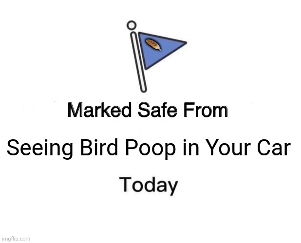 Marked Safe From Meme | 🪶; Seeing Bird Poop in Your Car | image tagged in memes,bird,poop | made w/ Imgflip meme maker
