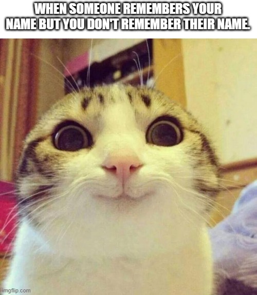69th Image I Made. | WHEN SOMEONE REMEMBERS YOUR NAME BUT YOU DON'T REMEMBER THEIR NAME. | image tagged in memes,smiling cat,69,dementia,joe biden | made w/ Imgflip meme maker