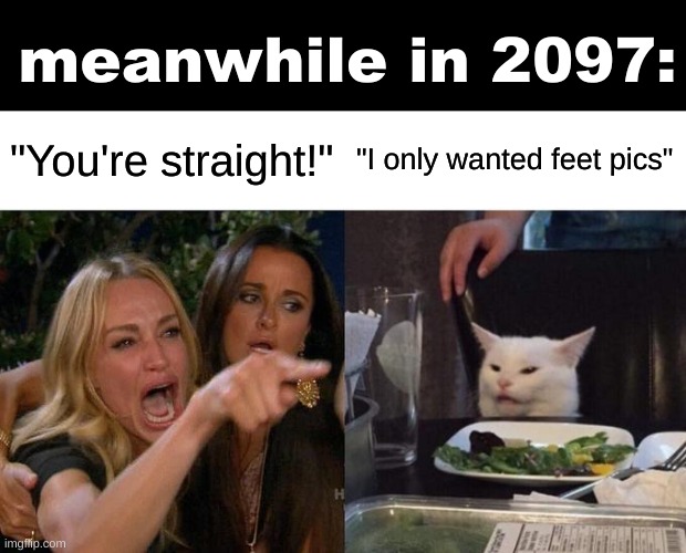 Woman Yelling At Cat Meme | meanwhile in 2097:; "You're straight!"; "I only wanted feet pics" | image tagged in memes,woman yelling at cat | made w/ Imgflip meme maker