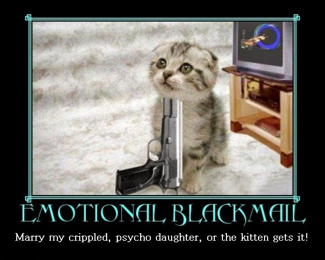 High Quality Emotional Blackmail Cat Blank Meme Template