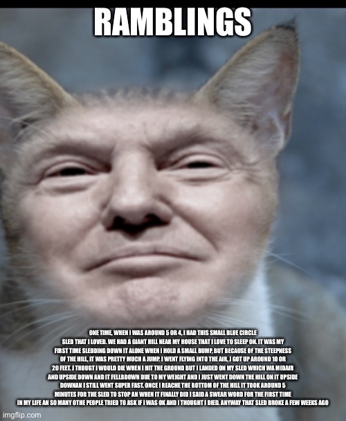 Donald trump cat | RAMBLINGS; ONE TIME, WHEN I WAS AROUND 5 OR 4, I HAD THIS SMALL BLUE CIRCLE SLED THAT I LOVED. WE HAD A GIANT HILL NEAR MY HOUSE THAT I LOVE TO SLEEP ON. IT WAS MY FIRST TIME SLEDDING DOWN IT ALONE WHEN I HOLD A SMALL BUMP, BUT BECAUSE OF THE STEEPNESS OF THE HILL, IT WAS PRETTY MUCH A JUMP. I WENT FLYING INTO THE AIR, J GOT UP AROUND 10 OR 20 FEET. J THOUGT I WOULD DIE WHEN I HIT THE GROUND BUT I LANDED ON MY SLED WHICH WA MIDAIR AND UPSIDE DOWN AND IT FELLBDOWN DUE TO MY WEIGHT AND I JUST WENT DOWN THE HILL ON IT UPSIDE DOWNAN I STILL WENT SUPER FAST. ONCE I REACHE THE BOTTOM OF THE HILL IT TOOK AROUND 5 MINUTES FOR THE SLED TO STOP AN WHEN IT FINALLY DID I SAID A SWEAR WORD FOR THE FIRST TIME IN MY LIFE AN SO MANY OTHE PEOPLE TRIED TO ASK IF I WAS OK AND I THOUGHT I DIED. ANYWAY THAT SLED BROKE A FEW WEEKS AGO | image tagged in donald trump cat | made w/ Imgflip meme maker