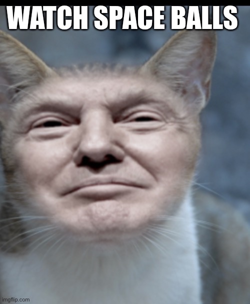 Spaceballs | WATCH SPACE BALLS | image tagged in donald trump cat | made w/ Imgflip meme maker