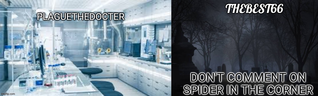 Plaguethedocter and Thebest66 | DON'T COMMENT ON SPIDER IN THE CORNER | image tagged in plaguethedocter and thebest66 | made w/ Imgflip meme maker