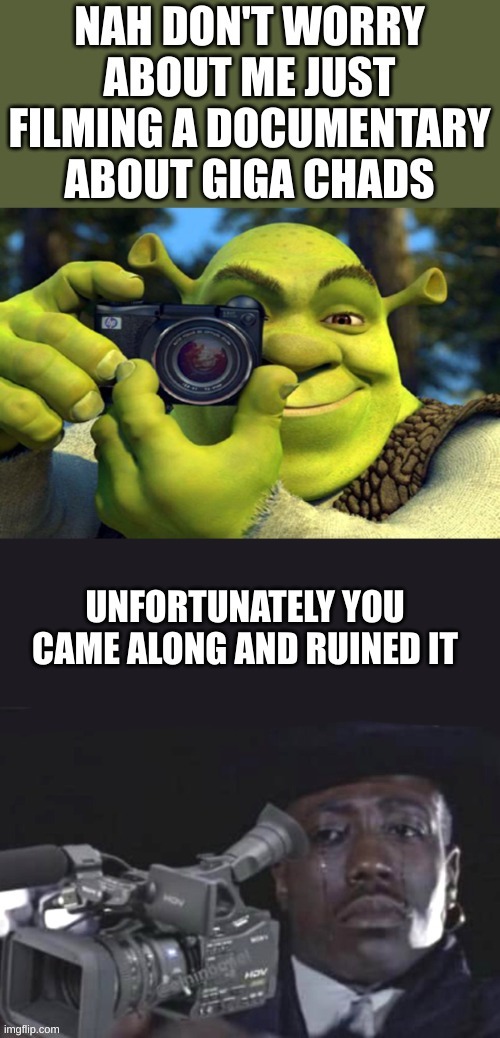 now i gotta start all over again | image tagged in shrek camera,sad guy holding camera,fun,funny | made w/ Imgflip meme maker