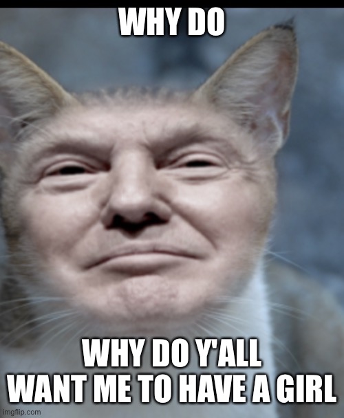 Donald trump cat | WHY DO; WHY DO Y'ALL WANT ME TO HAVE A GIRL | image tagged in donald trump cat | made w/ Imgflip meme maker