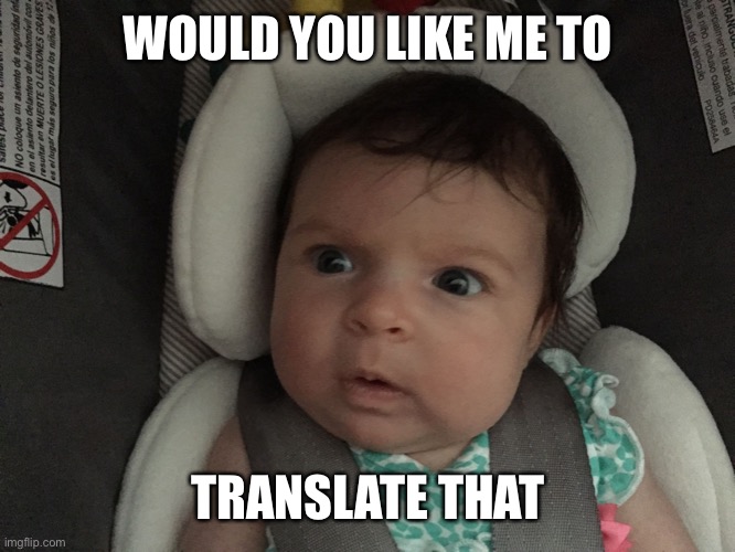 Sudden Realization Infant | WOULD YOU LIKE ME TO TRANSLATE THAT | image tagged in sudden realization infant | made w/ Imgflip meme maker