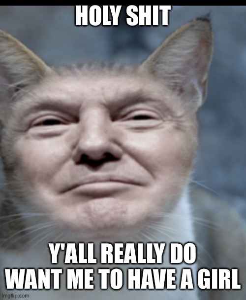 Donald trump cat | HOLY SHIT; Y'ALL REALLY DO WANT ME TO HAVE A GIRL | image tagged in donald trump cat | made w/ Imgflip meme maker