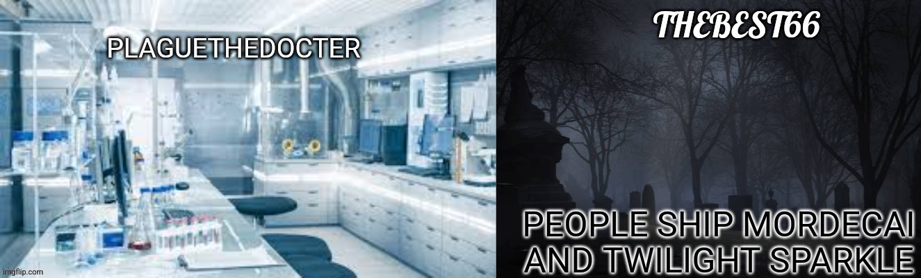 Plaguethedocter and Thebest66 | PEOPLE SHIP MORDECAI AND TWILIGHT SPARKLE | image tagged in plaguethedocter and thebest66 | made w/ Imgflip meme maker