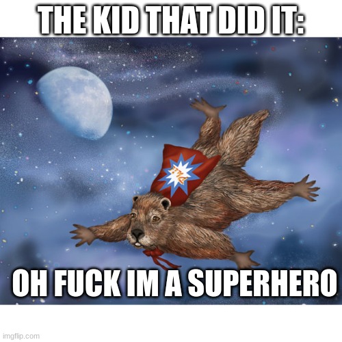 im super hero fill | THE KID THAT DID IT: OH FUCK IM A SUPERHERO | image tagged in im super hero fill | made w/ Imgflip meme maker