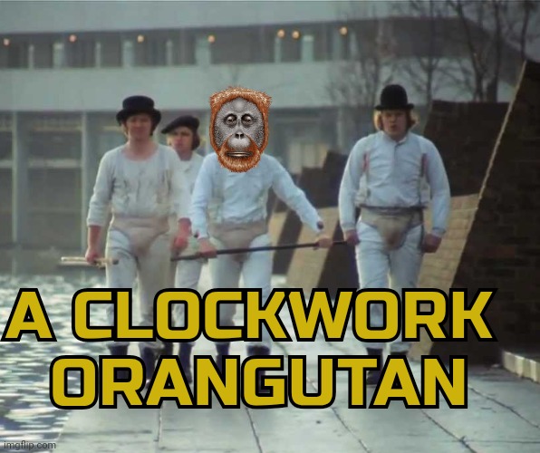 CLOCKWORK ORANGUTAN | A CLOCKWORK 
ORANGUTAN | image tagged in memes,drugs,clockwork orange,orangutan | made w/ Imgflip meme maker