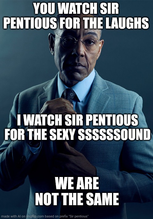 We are not the same | YOU WATCH SIR PENTIOUS FOR THE LAUGHS; I WATCH SIR PENTIOUS FOR THE SEXY SSSSSSOUND; WE ARE NOT THE SAME | image tagged in gus fring we are not the same | made w/ Imgflip meme maker