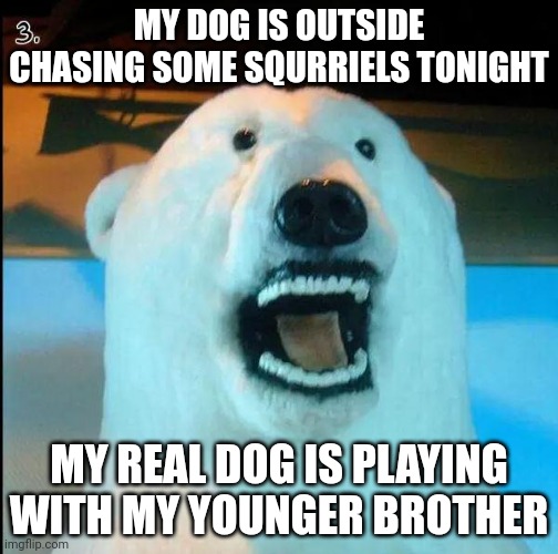 Shock | MY DOG IS OUTSIDE CHASING SOME SQURRIELS TONIGHT; MY REAL DOG IS PLAYING WITH MY YOUNGER BROTHER | image tagged in horrified polar bear,skinwalker | made w/ Imgflip meme maker