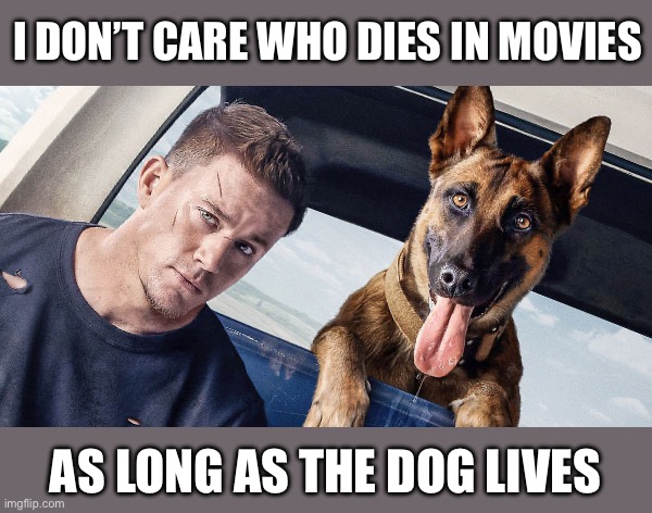 Movie dogs | I DON’T CARE WHO DIES IN MOVIES; AS LONG AS THE DOG LIVES | image tagged in dogs,dog,movies | made w/ Imgflip meme maker