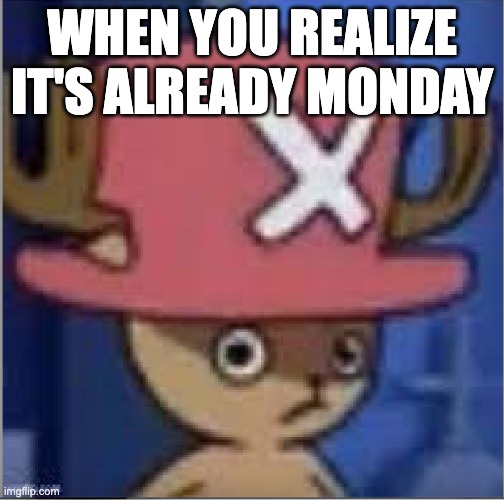 Sus Chopper | WHEN YOU REALIZE IT'S ALREADY MONDAY | image tagged in sus chopper | made w/ Imgflip meme maker