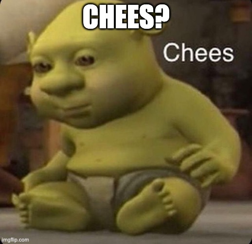 Chees | CHEES? | image tagged in chees | made w/ Imgflip meme maker
