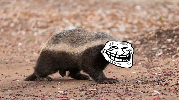 High Quality Honey Badger Troll Face Blank Meme Template