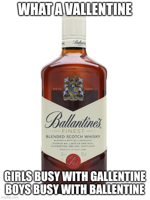 Valentine's reality | WHAT A VALLENTINE; GIRLS BUSY WITH GALLENTINE BOYS BUSY WITH BALLENTINE | image tagged in ballentine | made w/ Imgflip meme maker