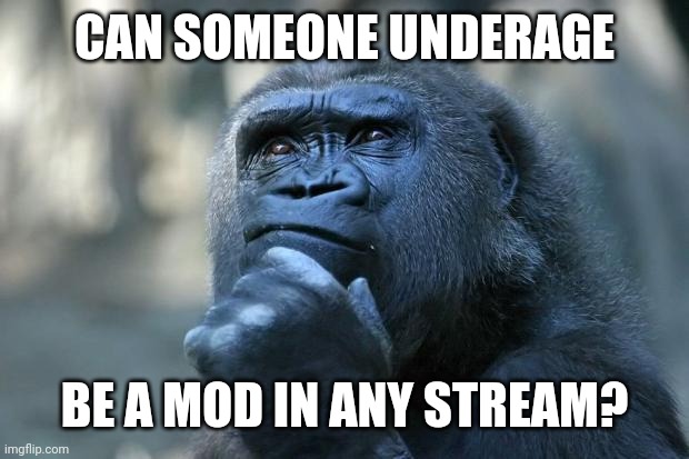 Deep Thoughts | CAN SOMEONE UNDERAGE; BE A MOD IN ANY STREAM? | image tagged in deep thoughts | made w/ Imgflip meme maker