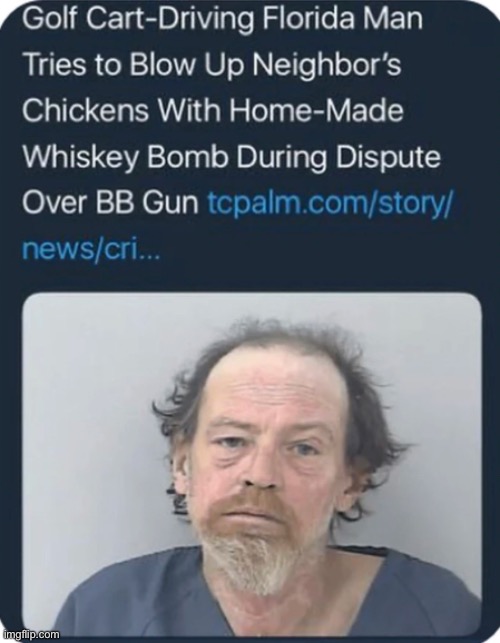 Meanwhile in Florida | image tagged in florida man,memes,funny | made w/ Imgflip meme maker