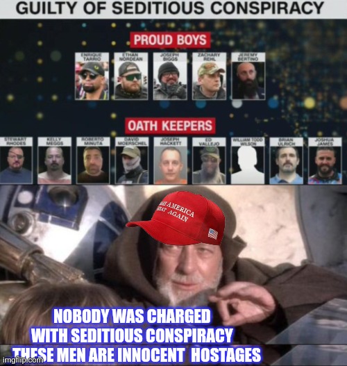 NOBODY WAS CHARGED 
WITH SEDITIOUS CONSPIRACY 
..THESE MEN ARE INNOCENT  HOSTAGES | image tagged in memes,these aren't the droids you were looking for | made w/ Imgflip meme maker