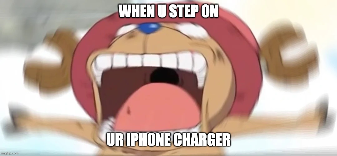 Chopper screaming | WHEN U STEP ON; UR IPHONE CHARGER | image tagged in chopper screaming | made w/ Imgflip meme maker