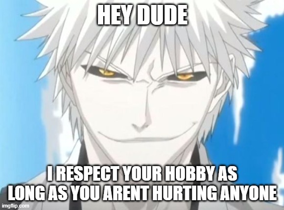 White ichigo | HEY DUDE; I RESPECT YOUR HOBBY AS LONG AS YOU ARENT HURTING ANYONE | image tagged in white ichigo | made w/ Imgflip meme maker