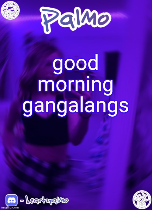 good morning gangalangs | image tagged in palmo or sum announcem follow me | made w/ Imgflip meme maker