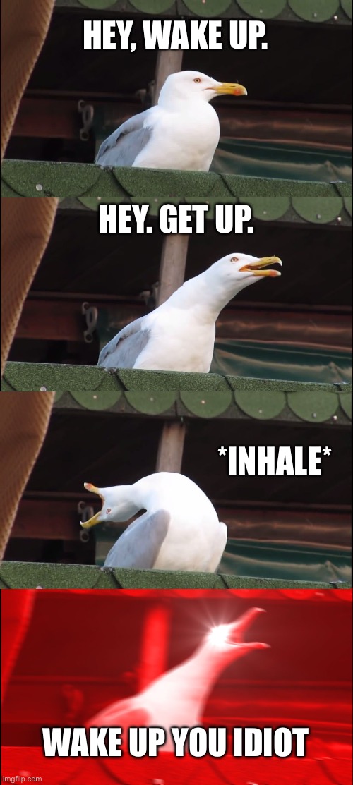 Inhaling Seagull Meme | HEY, WAKE UP. HEY. GET UP. *INHALE*; WAKE UP YOU IDIOT | image tagged in memes,inhaling seagull | made w/ Imgflip meme maker