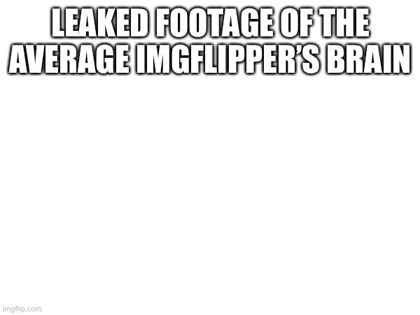 LEAKED FOOTAGE OF THE AVERAGE IMGFLIPPER’S BRAIN | made w/ Imgflip meme maker