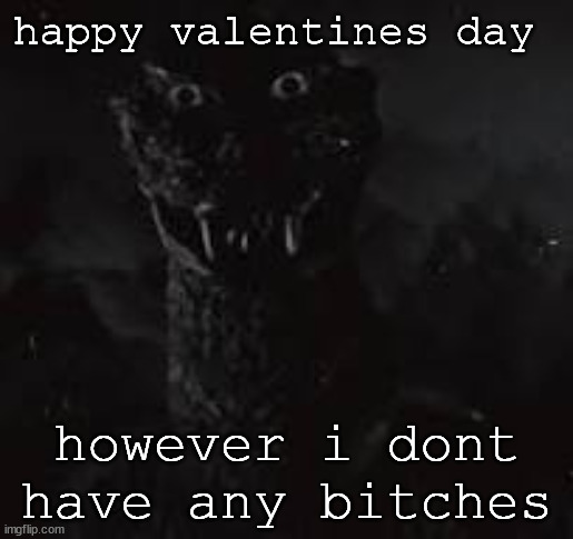 no | happy valentines day; however i dont have any bitches | image tagged in no | made w/ Imgflip meme maker