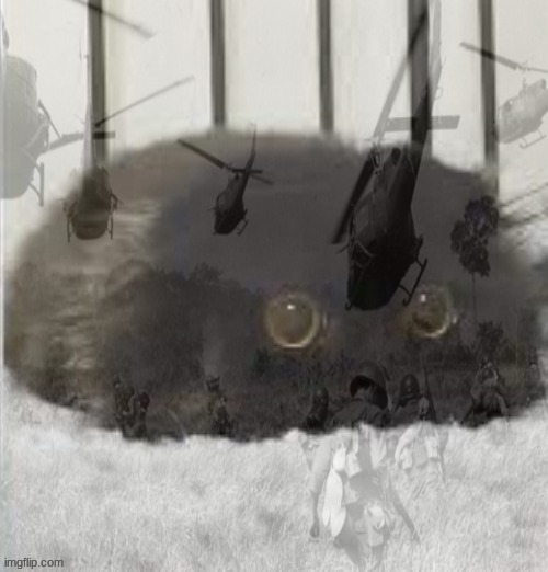 PTSD cat | image tagged in ptsd cat | made w/ Imgflip meme maker