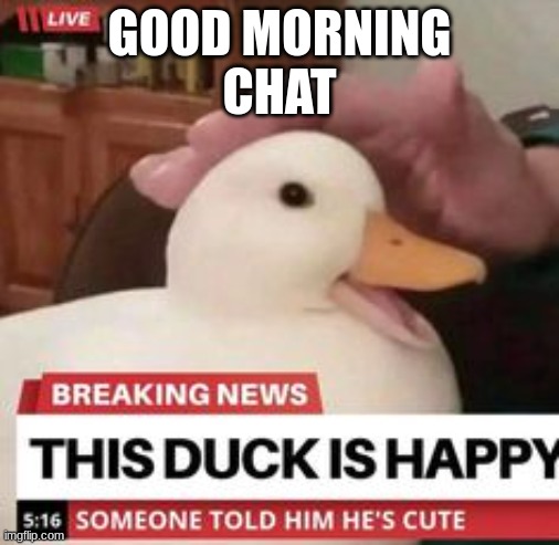 happy duck | GOOD MORNING
CHAT | image tagged in happy duck | made w/ Imgflip meme maker