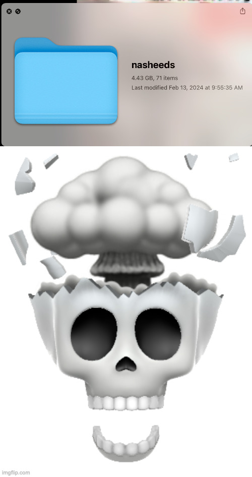bros folder in the gigabytes | image tagged in shocked brain explode skull emoji iphone | made w/ Imgflip meme maker
