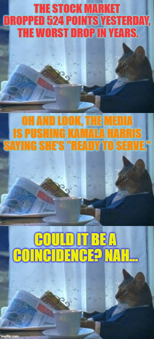 I Should Buy A Boat Cat | THE STOCK MARKET DROPPED 524 POINTS YESTERDAY,  THE WORST DROP IN YEARS. OH AND LOOK, THE MEDIA IS PUSHING KAMALA HARRIS SAYING SHE'S "READY TO SERVE."; COULD IT BE A COINCIDENCE? NAH... | image tagged in memes,i should buy a boat cat,politics,stock market,drop,kamala harris | made w/ Imgflip meme maker