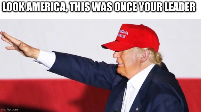 Lookie!!!! | LOOK AMERICA, THIS WAS ONCE YOUR LEADER | image tagged in donald trump | made w/ Imgflip meme maker