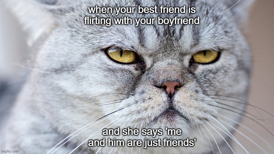 mad-kitty/face-with-bf | when your best friend is flirting with your boyfriend; and she says 'me and him are just friends' | image tagged in mad-cat-face | made w/ Imgflip meme maker