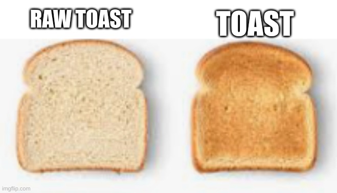 Not gonna lie this is is what i call bread | TOAST; RAW TOAST | image tagged in lol,meme | made w/ Imgflip meme maker
