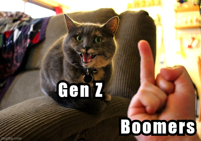 Boomers to GenZ: Just work hard like we did when 2 years salary would buy a house. | image tagged in boomer,boomers,generation z,gen z | made w/ Imgflip meme maker