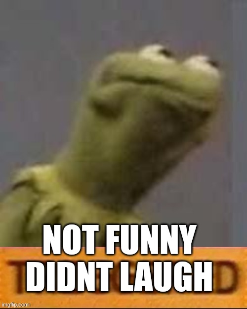 Kermit Triggered | NOT FUNNY DIDNT LAUGH | image tagged in kermit triggered | made w/ Imgflip meme maker