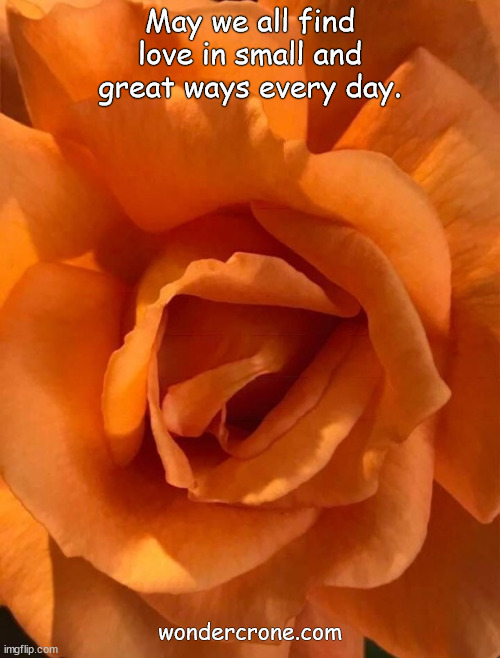 Love in Small and Great Ways | May we all find love in small and great ways every day. wondercrone.com | image tagged in wondercrone,roses are orange,womenswisdom | made w/ Imgflip meme maker
