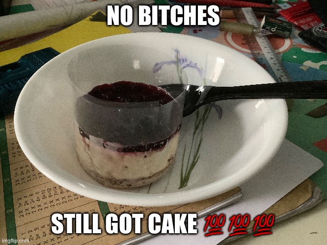 happy valentines or shit idk | NO BITCHES; STILL GOT CAKE 💯💯💯 | image tagged in bday lol | made w/ Imgflip meme maker