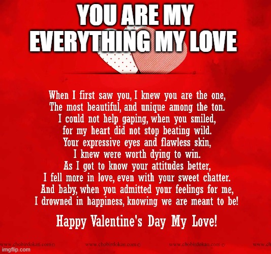 YOU ARE MY EVERYTHING MY LOVE | made w/ Imgflip meme maker