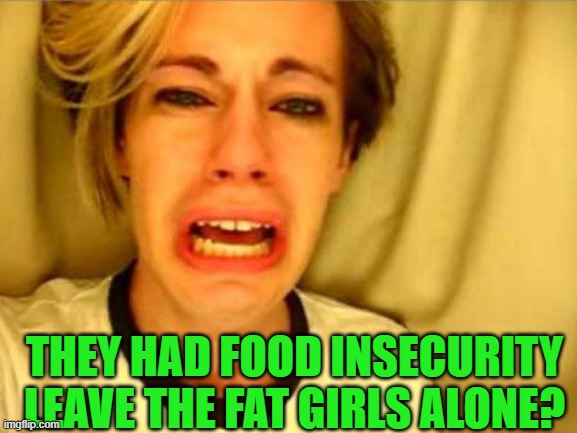 Leave Britney Alone | THEY HAD FOOD INSECURITY LEAVE THE FAT GIRLS ALONE? | image tagged in leave britney alone | made w/ Imgflip meme maker