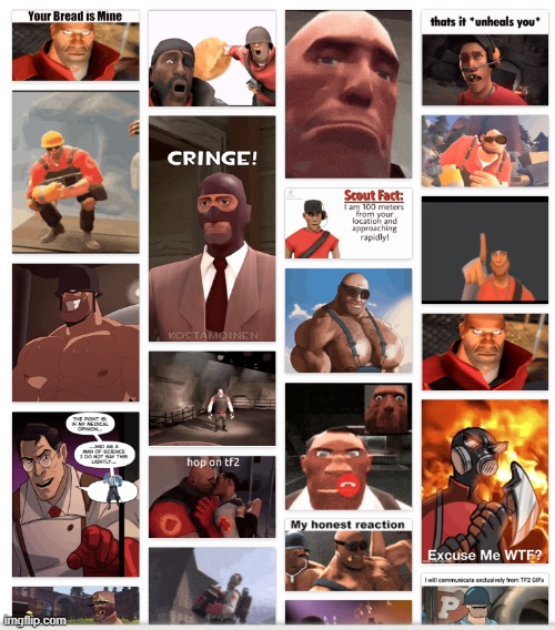 Tenor is  a fucking mental asylum | made w/ Imgflip meme maker