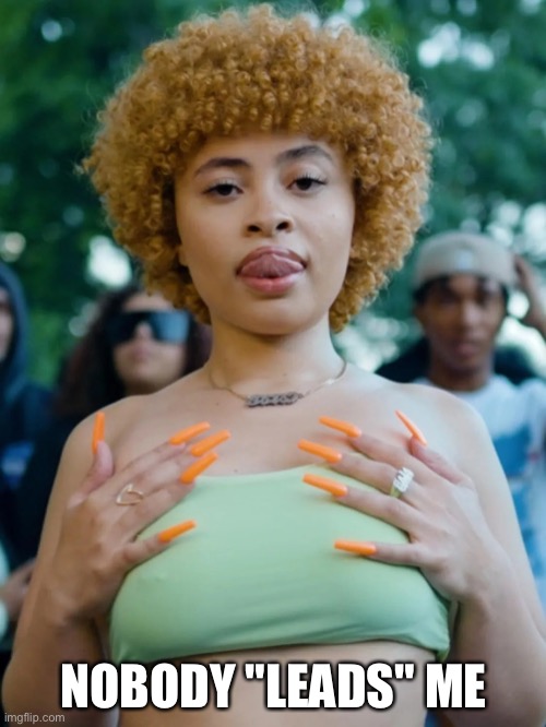 Ice spice | NOBODY "LEADS" ME | image tagged in ice spice | made w/ Imgflip meme maker