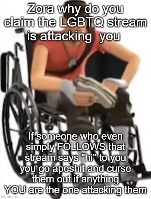 Scout but in a wheelchair | Zora why do you claim the LGBTQ stream is attacking  you; If someone who even simply FOLLOWS that stream says "hi" to you you go apeshit and curse them out if anything YOU are the one attacking them | image tagged in scout but in a wheelchair | made w/ Imgflip meme maker