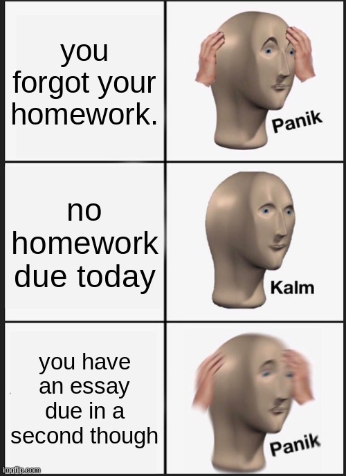 Panik Kalm Panik Meme | you forgot your homework. no homework due today; you have an essay due in a second though | image tagged in memes,panik kalm panik | made w/ Imgflip meme maker