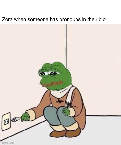 Sad Pepe Suicide | Zora when someone has pronouns in their bio: | image tagged in sad pepe suicide | made w/ Imgflip meme maker