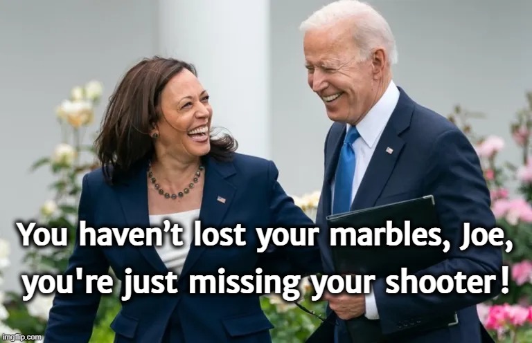 Kamala Harris & Joe Biden | You  haven’t  lost  your  marbles,  Joe, you're  just  missing  your  shooter ! | image tagged in american politics | made w/ Imgflip meme maker
